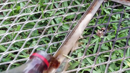 Coca Cola Enlever La Rouille