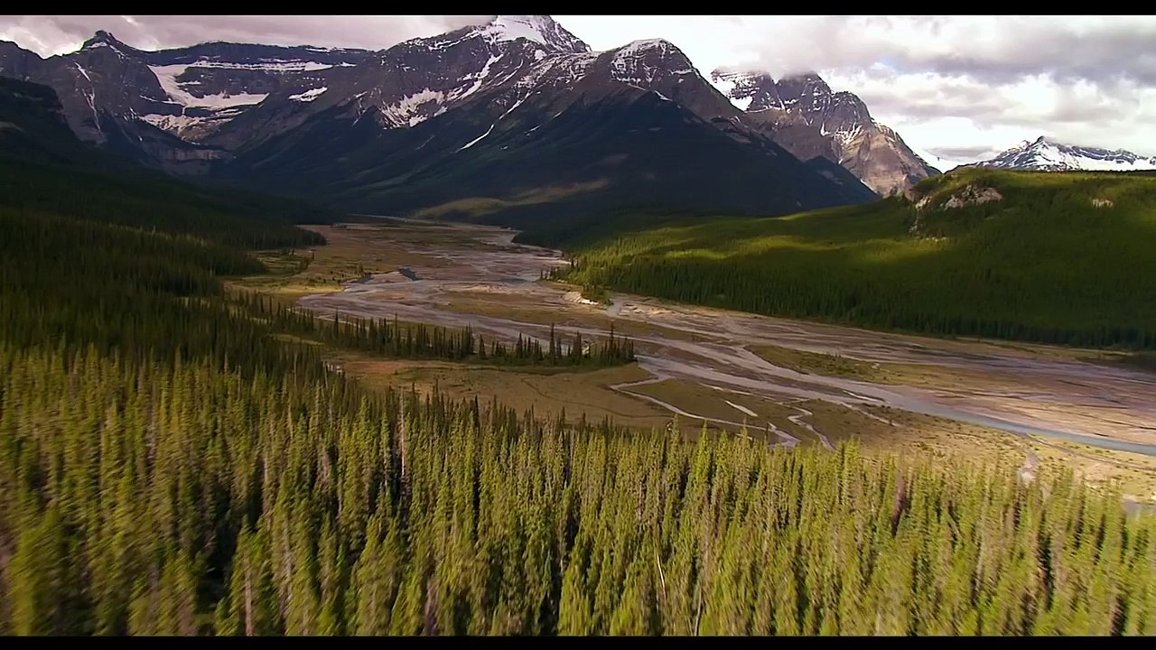 "I Purged" - THE PURGE 3 Election Year VIRAL CLIP