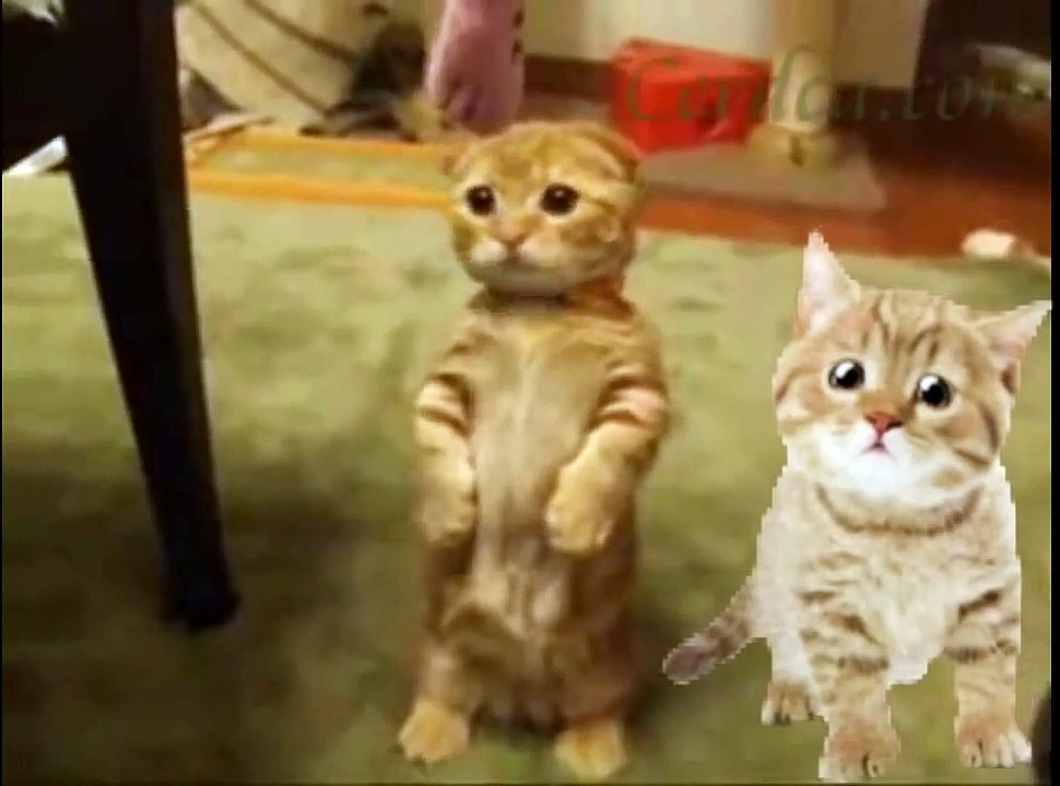 Моё предложение ...