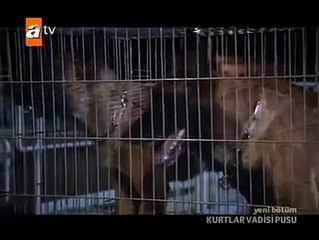 Kurtlar Vadisi Pusu (Amerikan Üssü Baskını)