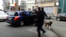 Euronews Korrespondent filmt Verhaftung einer Person in Molenbeek