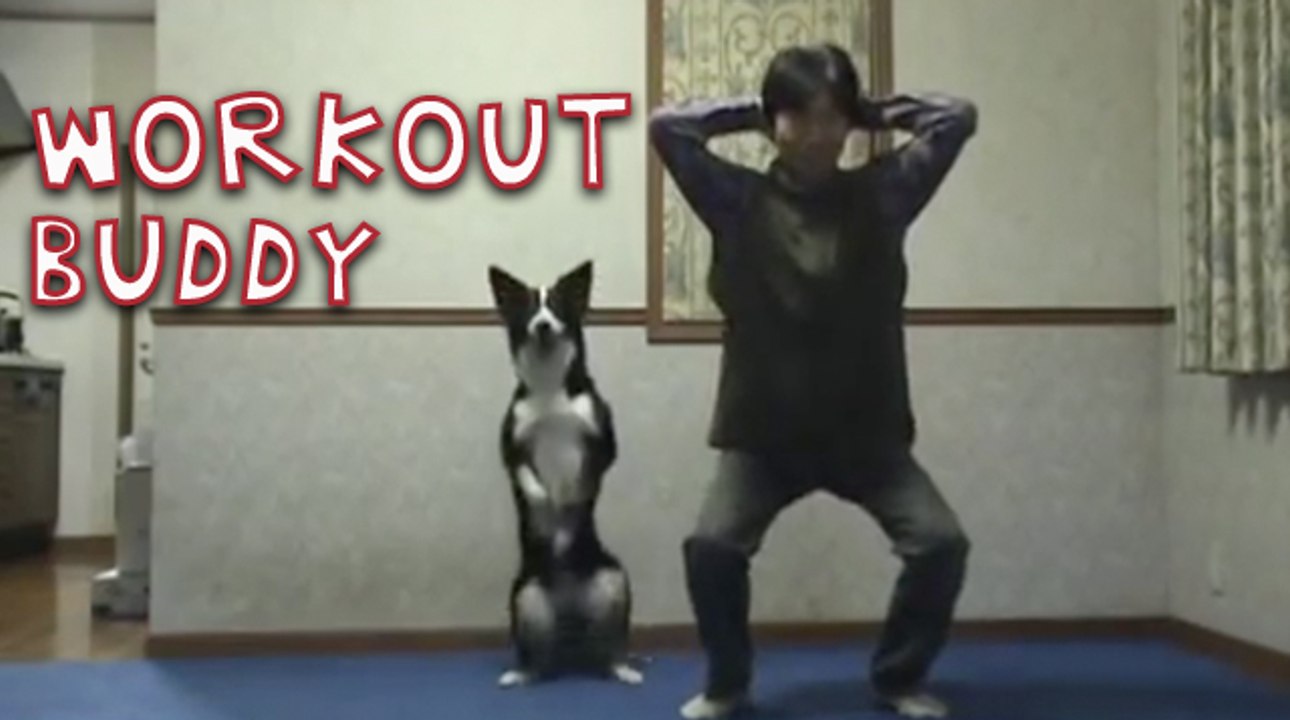 Dog Copies Workout
