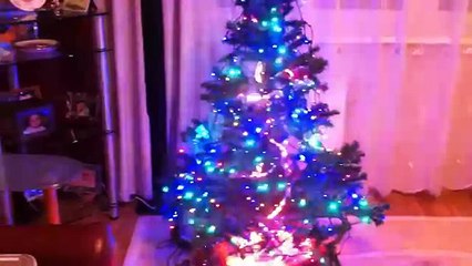 Новогодняя елка 1500 огней! Иллюминация