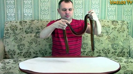 Как сделать Огромного Мармеладного Червяка из Coca-Cola и Fanta