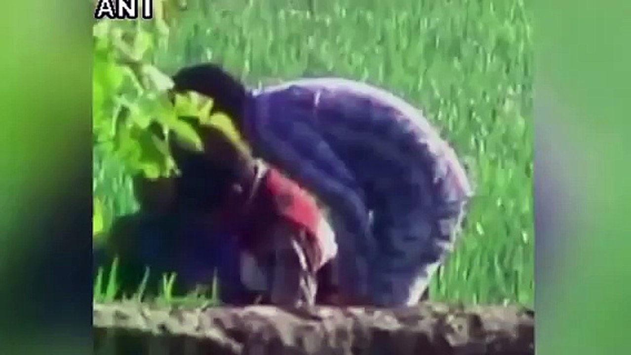 Mass cheating in UP board exams; 57 students, 14 teachers booked