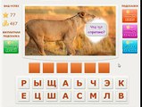 Игра Телепат - Ответы на 77, 78, 79, 80 уровень игры Телепат ВКонтакте