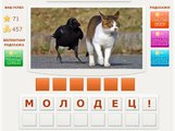 Игра Телепат - Ответы на 69, 70, 71, 72 уровень игры Телепат ВКонтакте