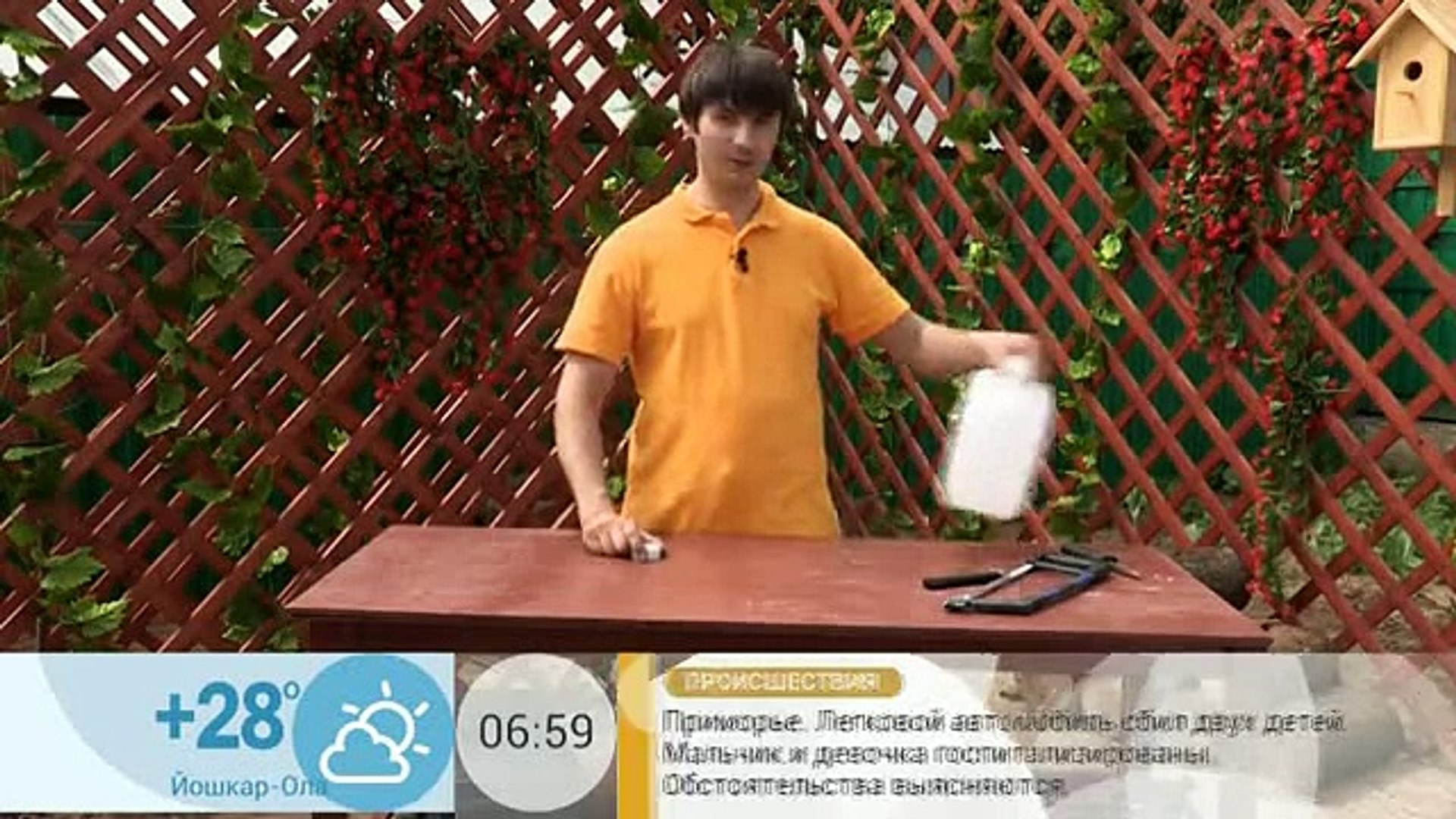 ⁣Совок для дачи