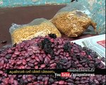 Mararikkulam agricultural office supplying bad useless Seeds for Farmers
