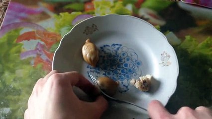 ЧТО БУДЕТ, ЕСЛИ СВАРИТЬ ПЕЛЬМЕНИ В COCA-COLA