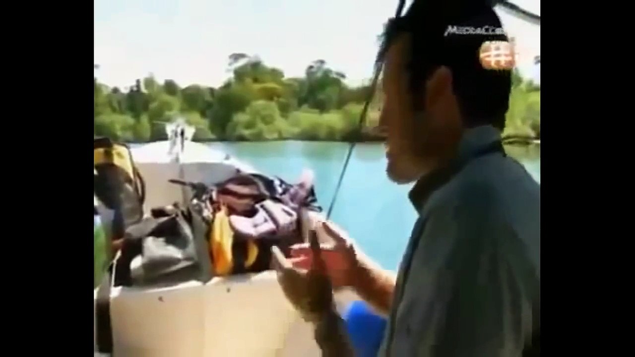 Popular Videos - Sloth & Documentary Movies
