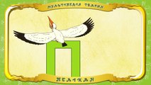 Мультіпедія тварин Літера П Пелікан