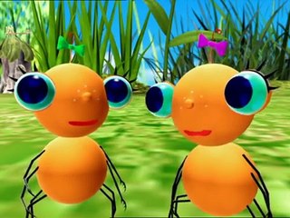 Miss Spider: SING NUR, SCHWESTER/VORAMEISUNG 10