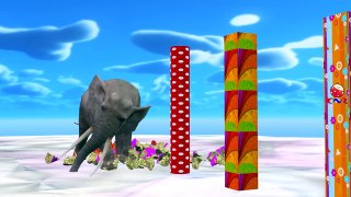 Elephant Cartoon Fighting And Singing Finger Family Nursery Rhymes For Children