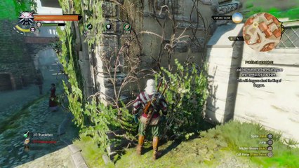 THE WITCHER 3 WALKTHROUGH PART 77