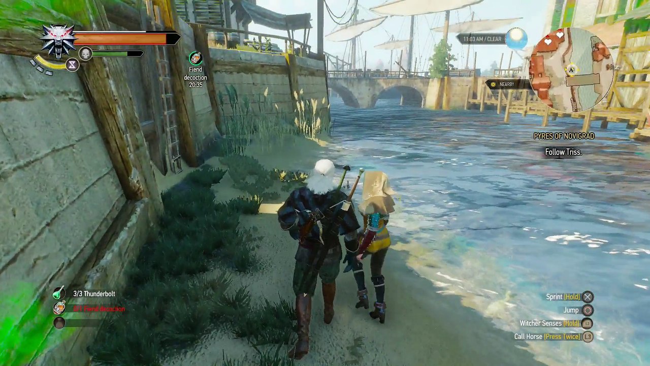 THE WITCHER 3 WALKTHROUGH PART 78a