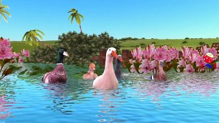 Hen Duck Ostrich Penguin And Eagle Cartoons Singing Finger Family Children Nursery Rhymes