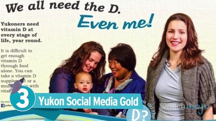 UFO Proof, Yukon Denies the D & Zombie Cats: The Dispatch Ep. 12