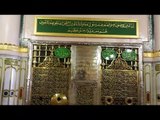 Tolerance of the Holy Prophet  ﷺ | Translation | Part 2