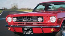 Focus Films: Hot Hatches, Europes Muscle Cars? Carfection