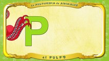 la Multipedia de animales. Letra P el Pulpo