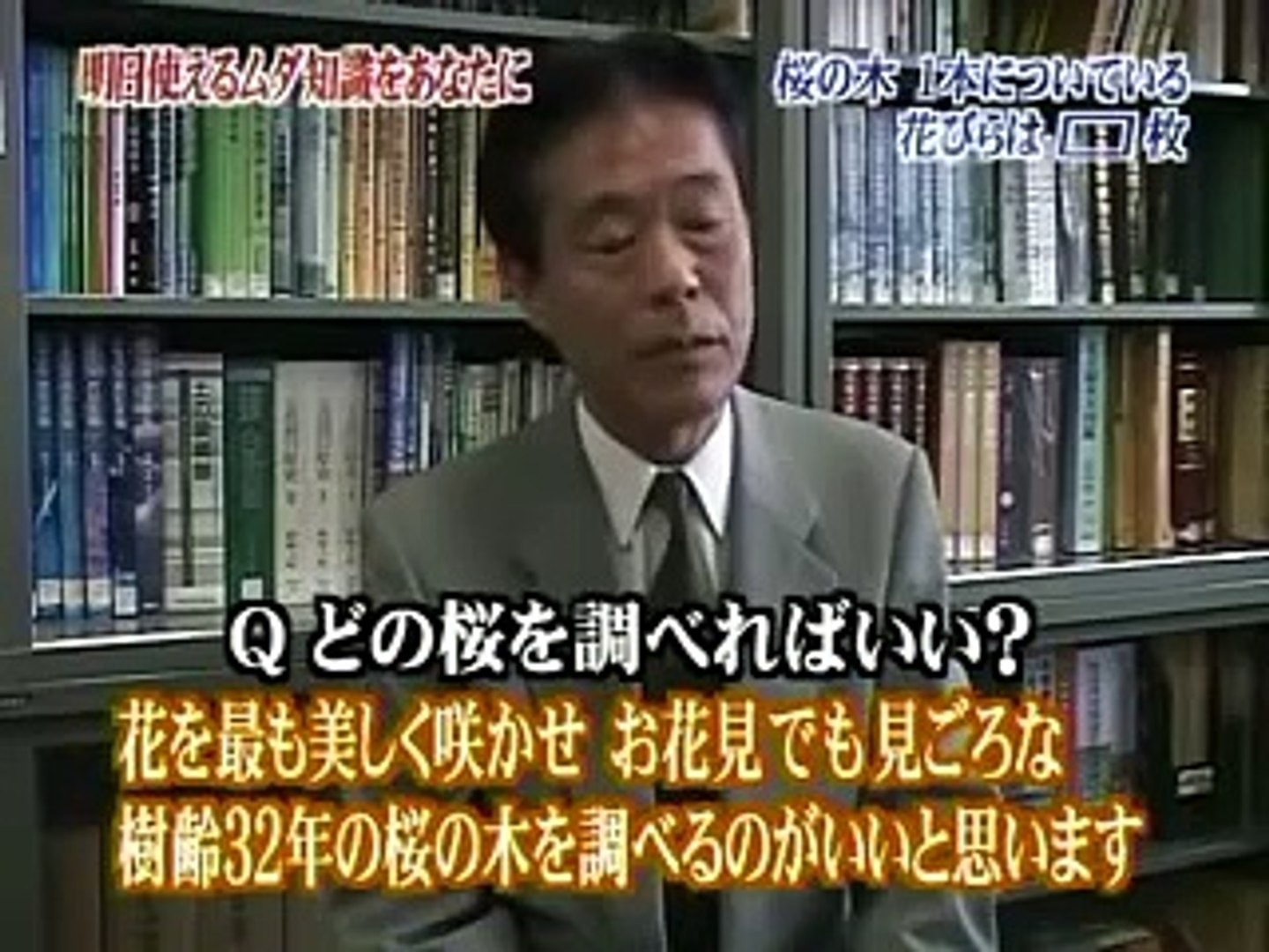 トリビアの種 桜の木１本についている花びらは 枚 動画