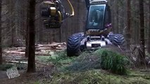 Incredible Tree Cutting Machine  Loggers Video.