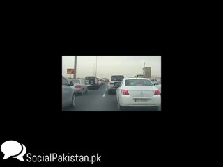 دوہا میں چیتا روڈ پر آگیا ۔۔۔ کیا ایسا بھی ہوتا ہے ؟ Doha