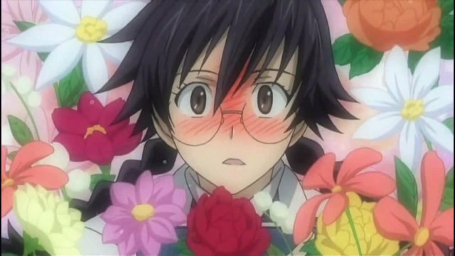 D.Gray-man Girls AMV