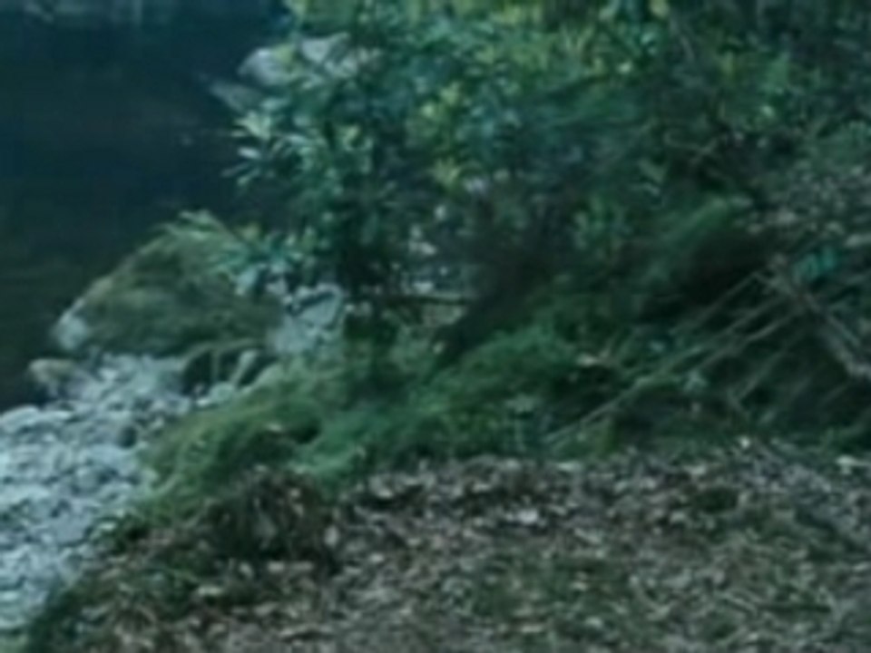 WILDERNESS