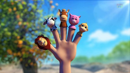 Finger Family Animals | Animals Cartoons Finger Family | 3D Nursery Rhyme