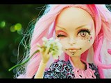 ФАНТАЗИЙНЫЕ ООАК Монстер Хай. FANTASY OOAK monster high. 幻想OOAK怪物高。