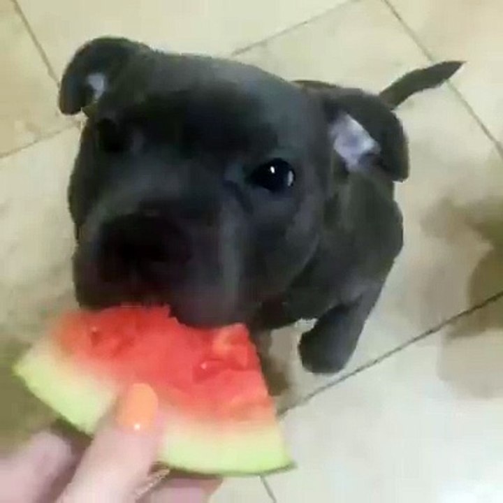 So cute...!!!