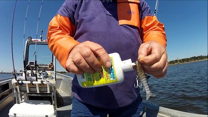 VUDU MULLET, "puts a spell on them"