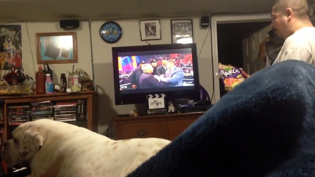 WWE Raw 12/28/15: Vince McMahon Gets Arrested Reaction