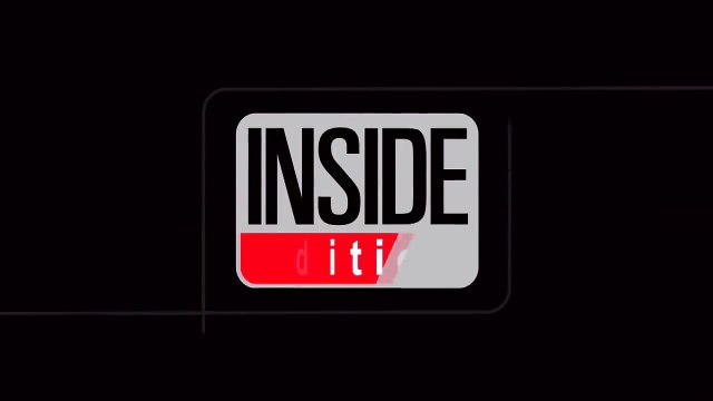 Un ours, un lion et un tigre sont potes depuis 15 ans