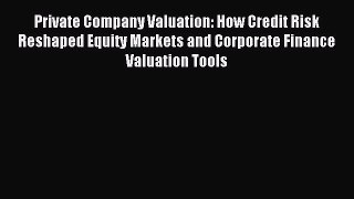 Read Private Company Valuation: How Credit Risk Reshaped Equity Markets and Corporate Finance