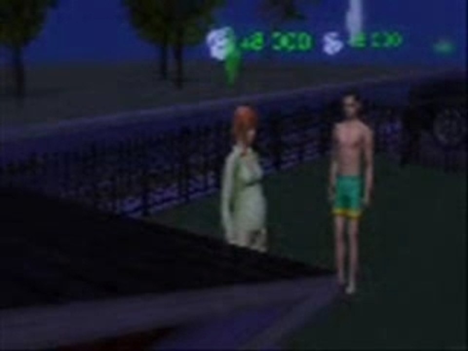 Petite histoire de Sims