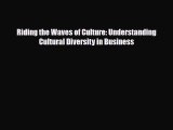 [PDF] Riding the Waves of Culture: Understanding Cultural Diversity in Business Read Full Ebook