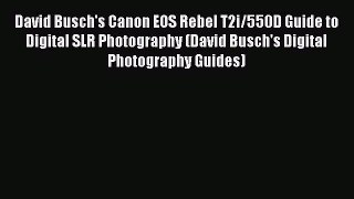 Read David Busch's Canon EOS Rebel T2i/550D Guide to Digital SLR Photography (David Busch's