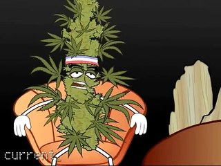 Marijuana VS. Crystal Meth - Funny but true video