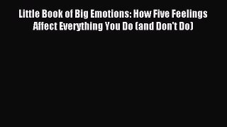 Read Little Book of Big Emotions: How Five Feelings Affect Everything You Do (and Don't Do)