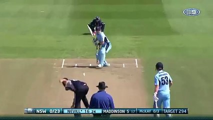 Matthew Wade's amazing run out Npmake