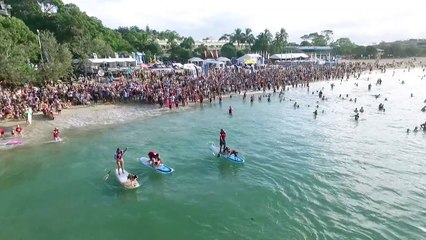 Ces chiens surfent comme des pros