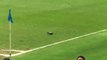 Les supporters de Manchester City chantent pour un pigeon!
