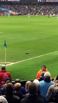 Les supporters de Manchester City chantent pour un pigeon!