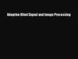 Read Adaptive Blind Signal and Image Processing Ebook Free