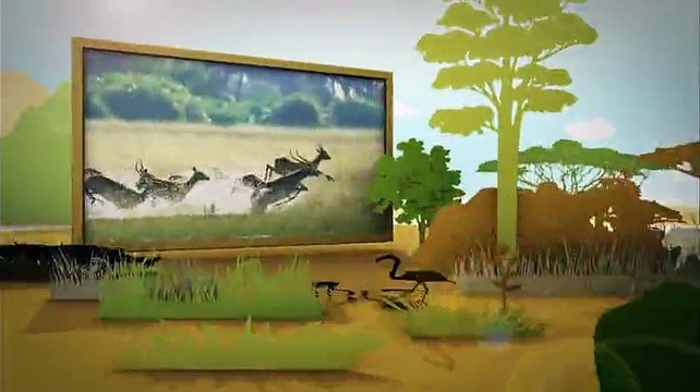 동물의 세계.160308.HD