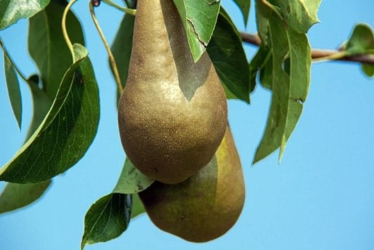 메이저에이전시 『＂Supercar123.Com 가입코드: 6623＂』 IBC 에이전시