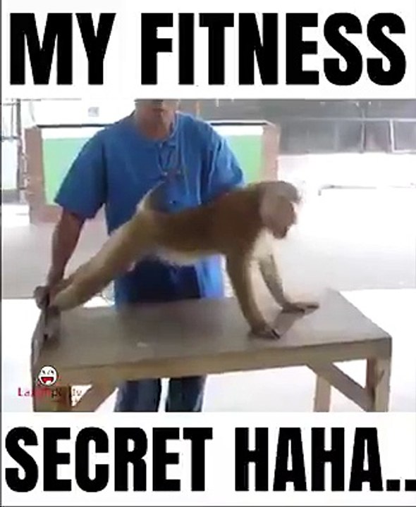 My fitness Secret